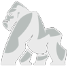 DNSApe